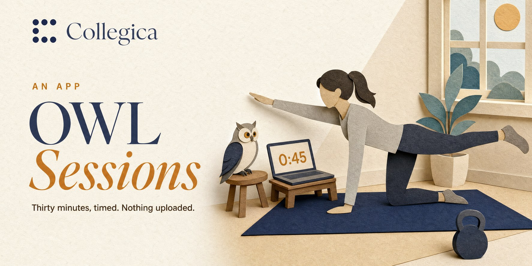 A paper-craft figure holding a bird dog on a navy mat, a small owl on a stool beside a laptop showing a countdown, a kettlebell on the floor, morning light. Title: OWL Sessions.